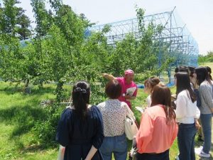 園地視察の様子