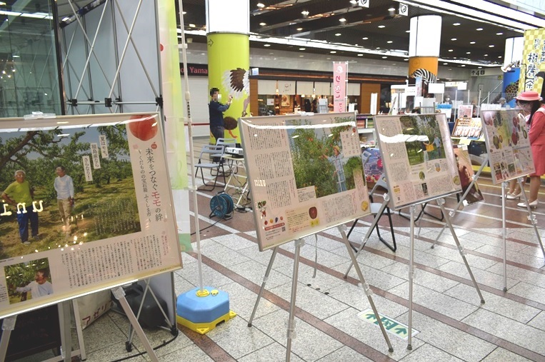 福島のくだもの展示パネルの様子