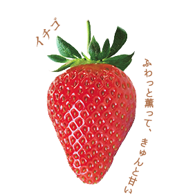 イチゴ
