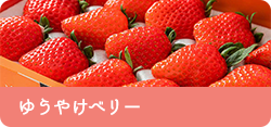 ゆうやけベリー
